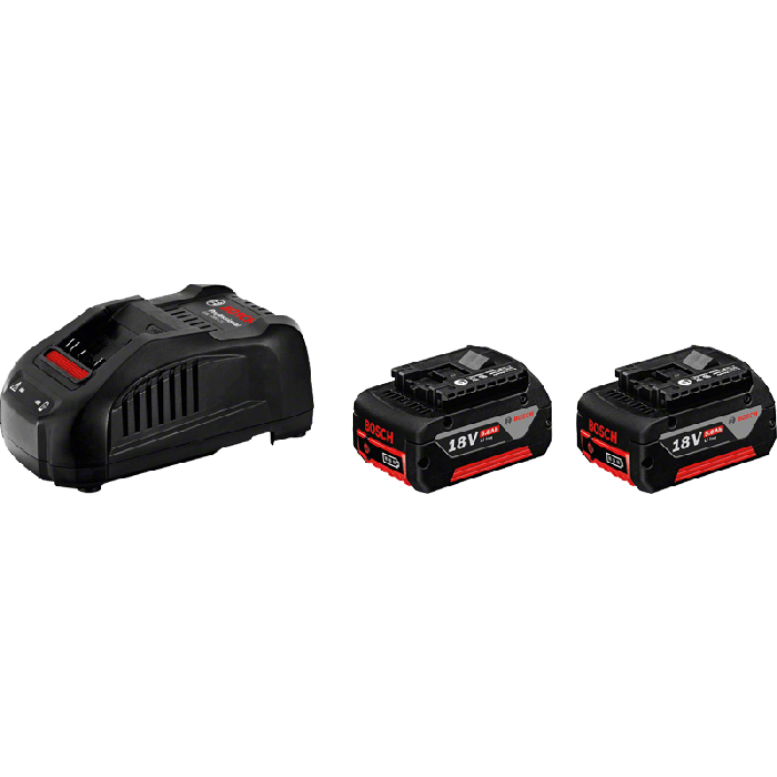 Bosch GBA 18V 2x5.0Ah + GAL 1880 CV Carton (1600A00B8J) Bosch GBA 18V 2x5.0Ah + GAL 1880 CV Carton (1600A00B8J)