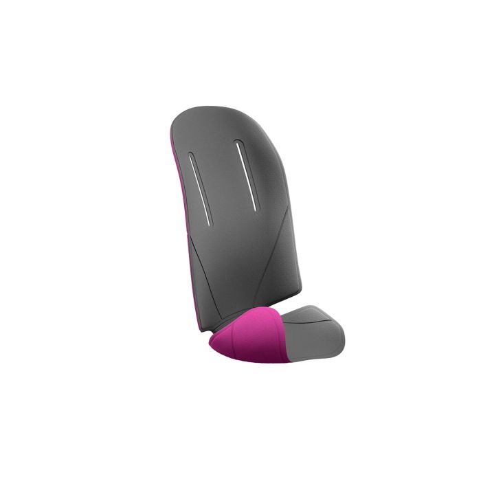 Thule RideAlong Padding Dark Grey/Purple 100402 Thule RideAlong Padding Dark Grey/Purple 100402