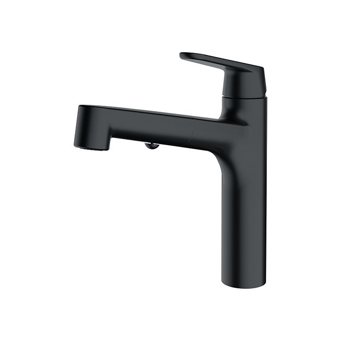 Franke Lift Izvelkama Iztece Black (115.0621.670) Franke Lift Izvelkama Iztece Black (115.0621.670)