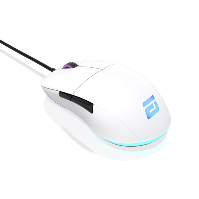 Endgame Gear XM1 White RGB (EGG-XM1RGB-WHT) pele