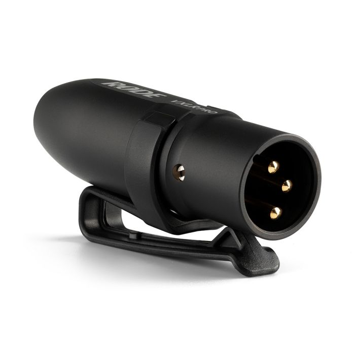 313667