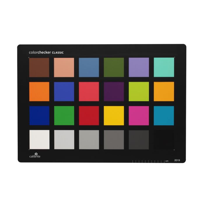 319261 319261