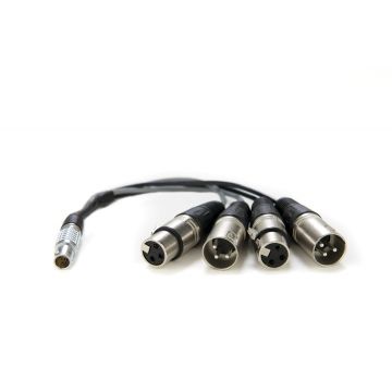 Atomos XLR Breakout Cable in/out