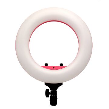 Caruba Round Vlogger 12 inch LED Set with Bag Pink
