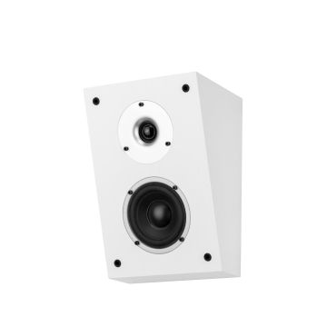 Wilson Raptor X White (Single Speaker)