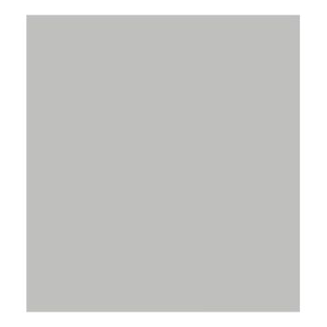 Linkstar Background Cloth S010 2.9x7m Grey