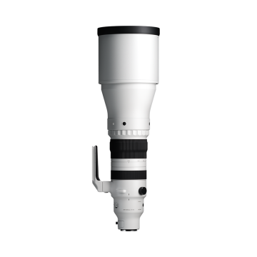 Sigma 300-600mm f4 DG OS Sports Lens for L-Mount
