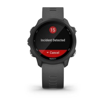 Garmin Forerunner 245 Grey (010-02120-10)
