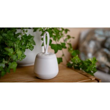 Newell Selene Dream LED Night Light with White Noise Function