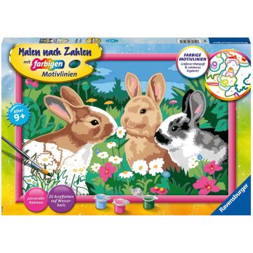 Ravensburger Paint by Numbers