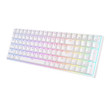 ROYAL KLUDGE RK100 White, Red Switch, US (RK100-W-R)